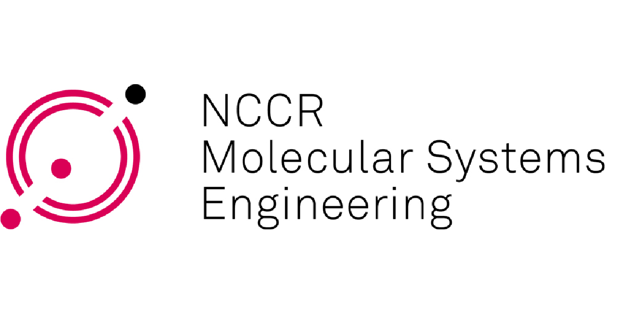 NCCR MSE Logo